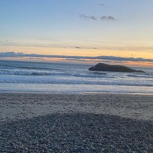 Meet your Posher, Reilly